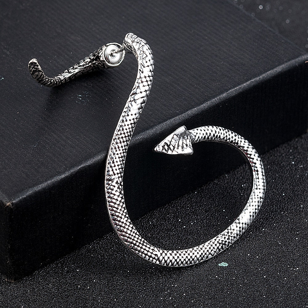 Aretes de Serpiente en Plata 925